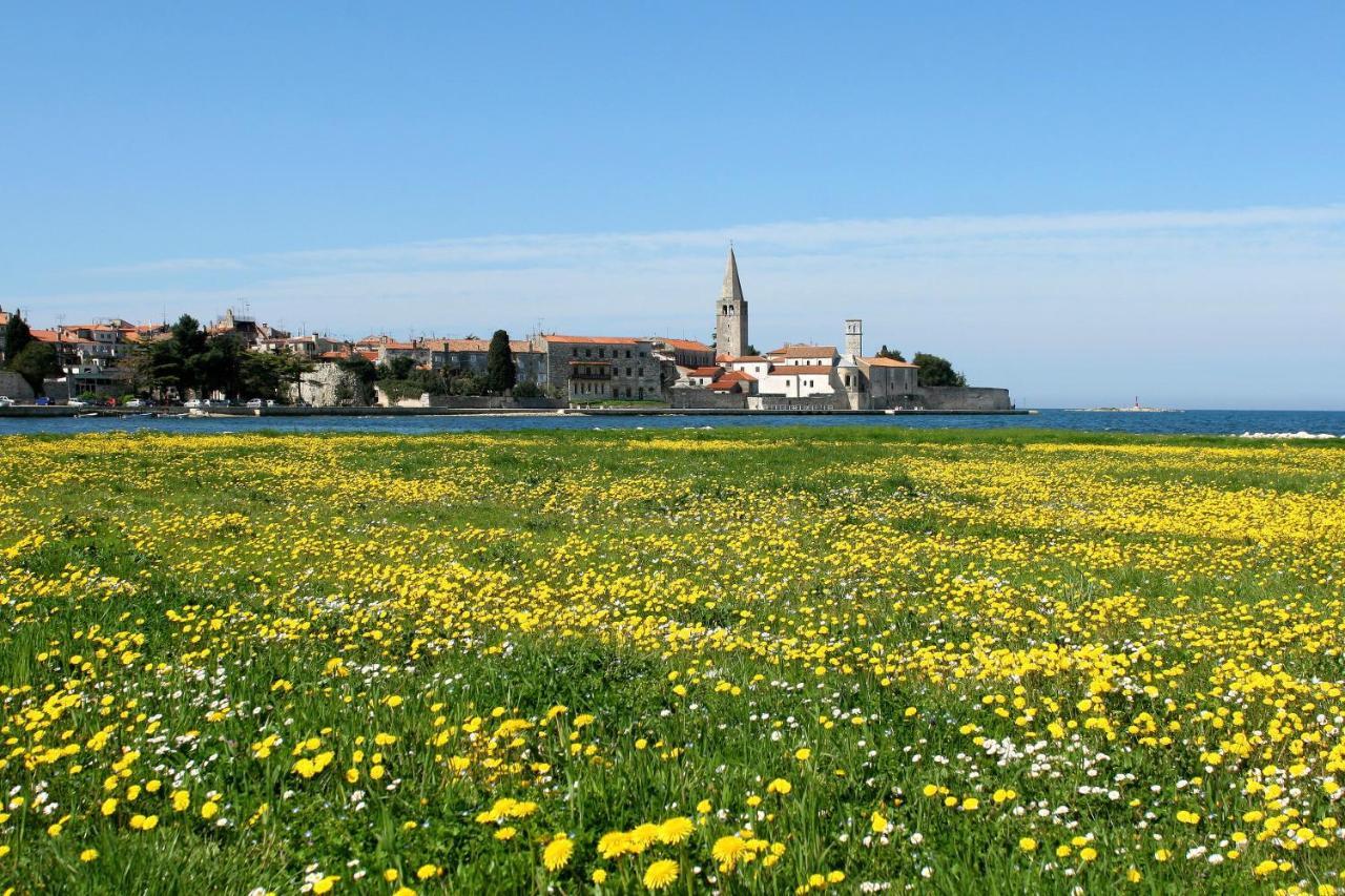 Villa Vita In Porec - Haus Fuer 6-8 Personen Kastelir Bagian luar foto